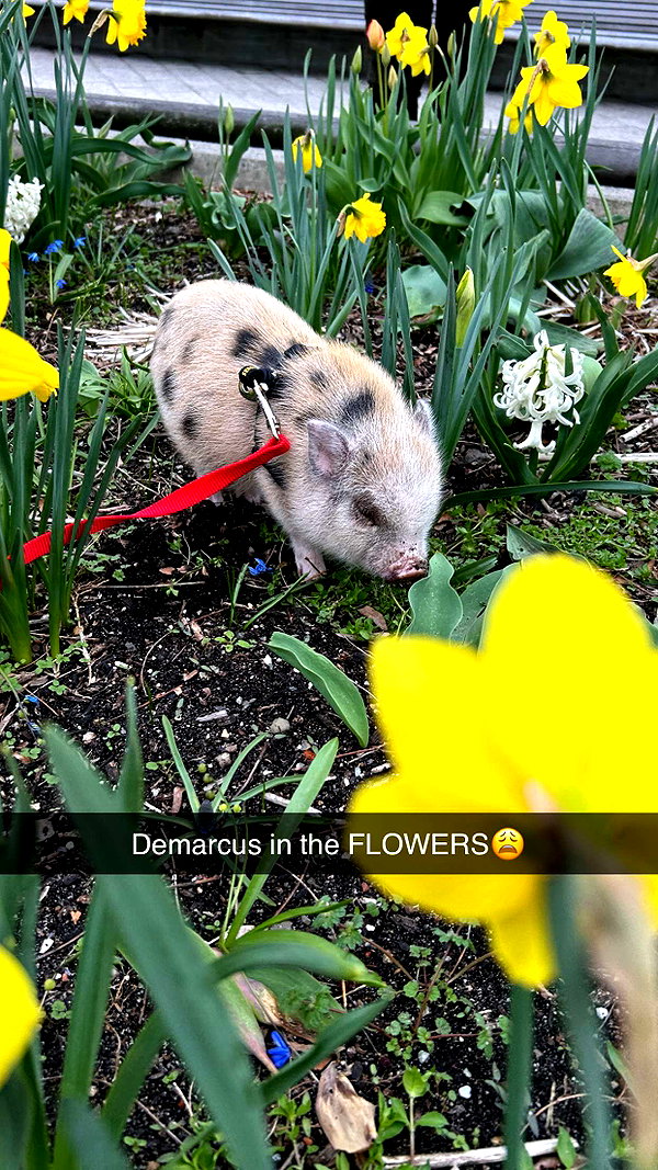 b0mbette snapchat image archive image