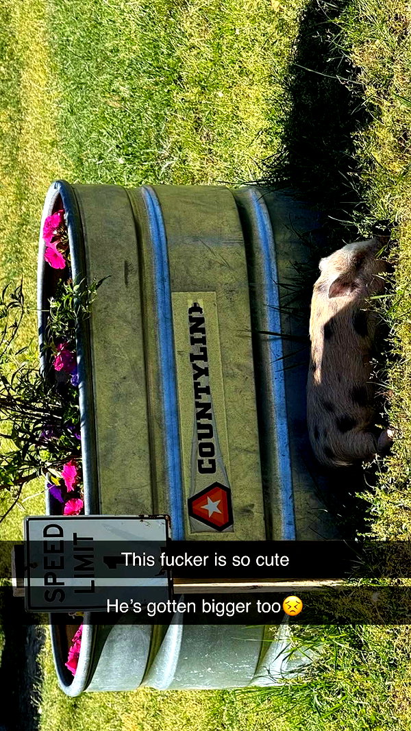b0mbette snapchat image archive image