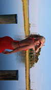 b0mbette Altpins Profile Picture