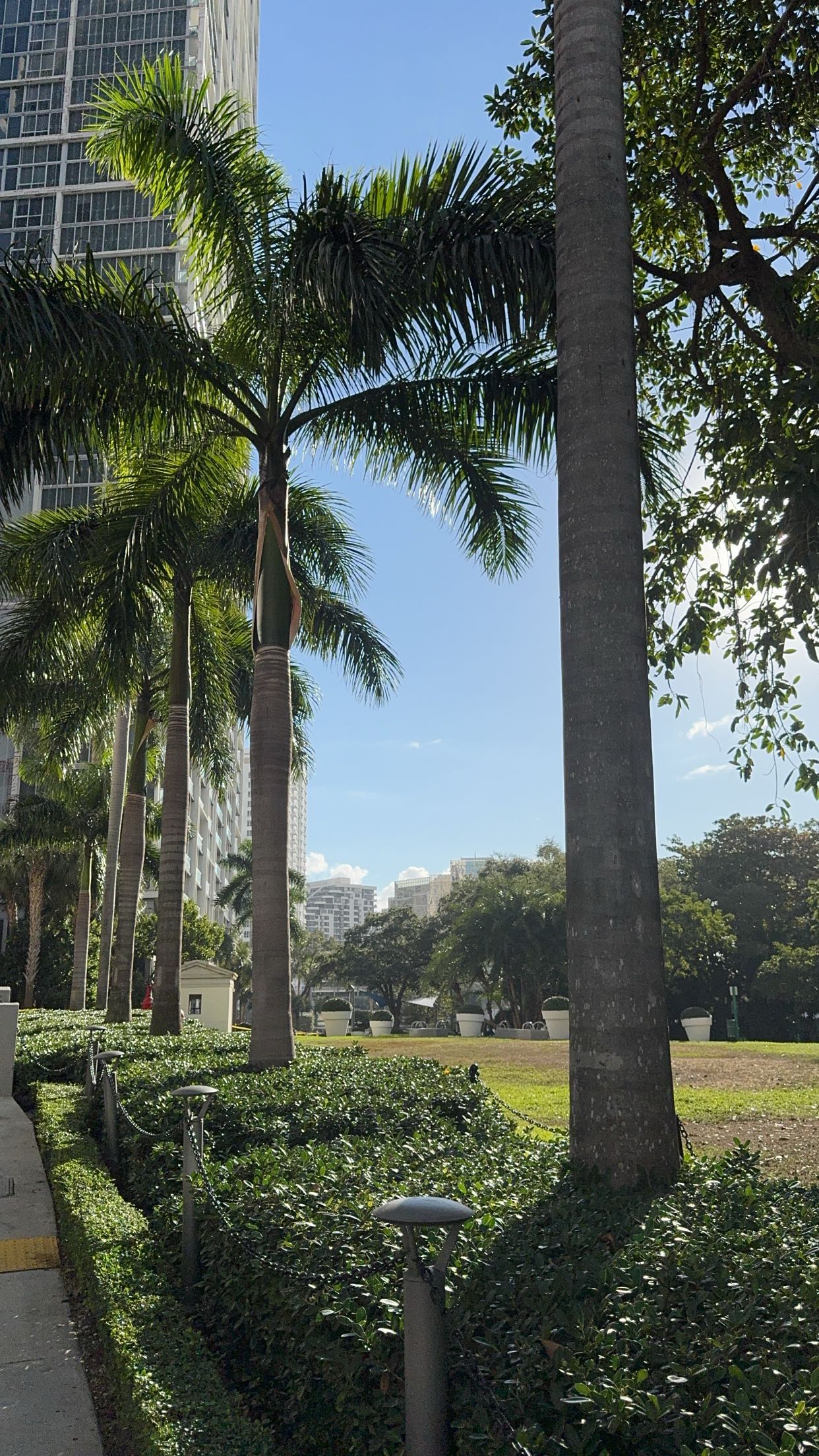 bellarenaldii snapchat image archive image