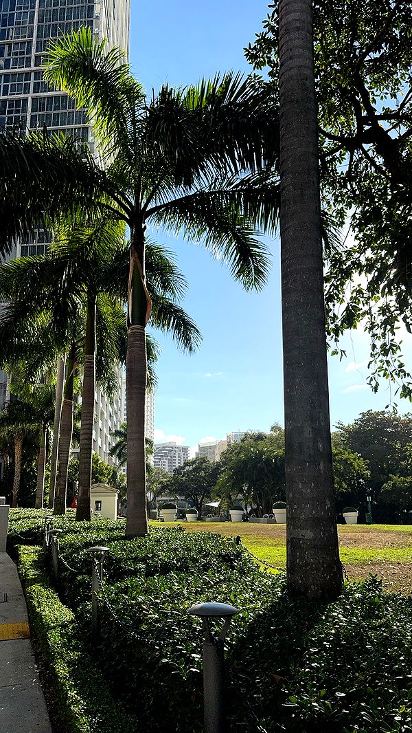 bellarenaldii image ~ Altpins