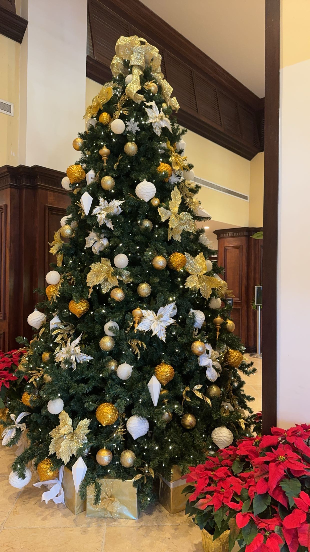 bellarenaldii snapchat image archive image