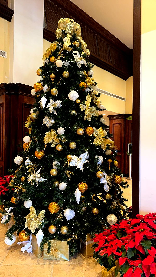 bellarenaldii image ~ Altpins