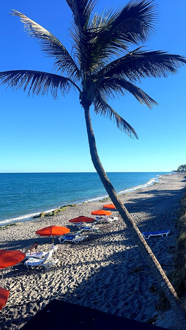 bellarenaldii image ~ Altpins