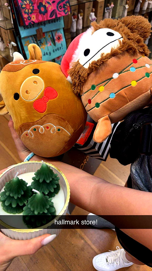 bellarenaldii image ~ Altpins