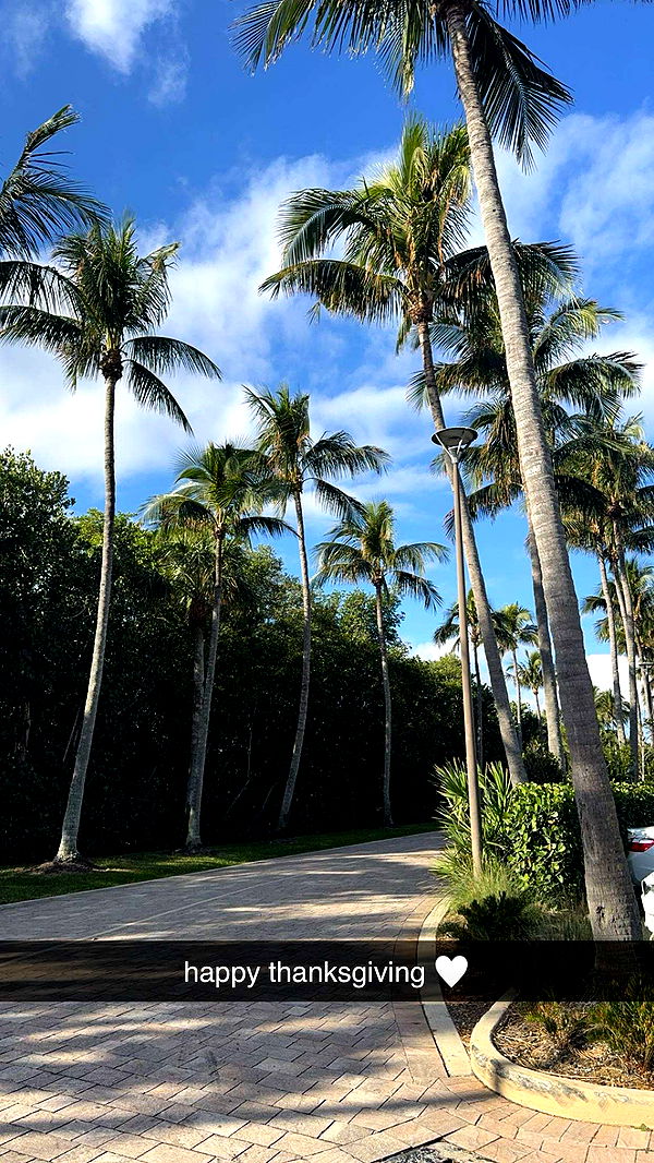 bellarenaldii image ~ Altpins