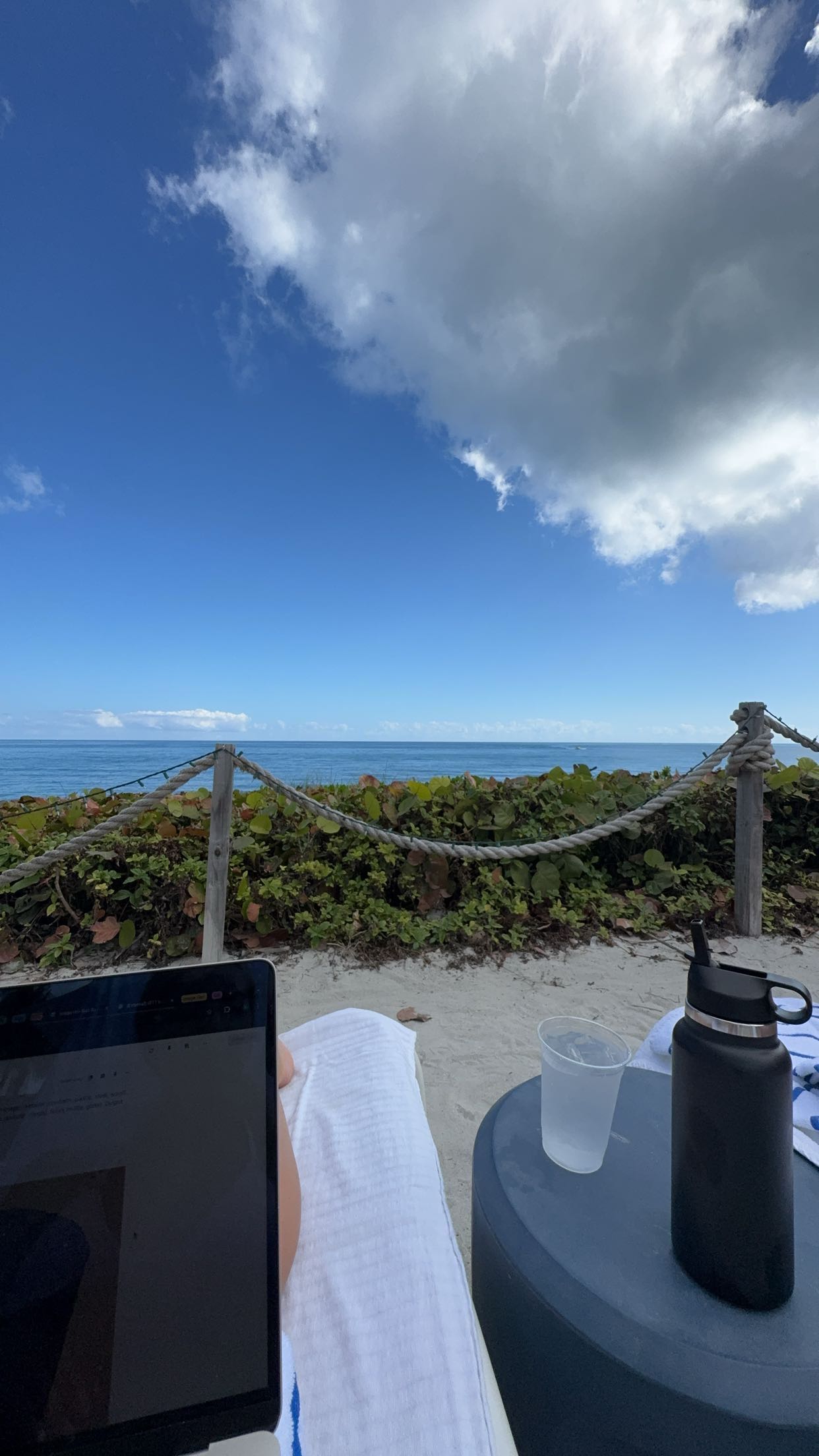 bellarenaldii snapchat image archive image