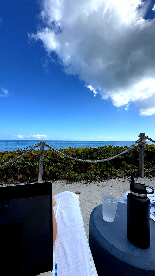 bellarenaldii image ~ Altpins