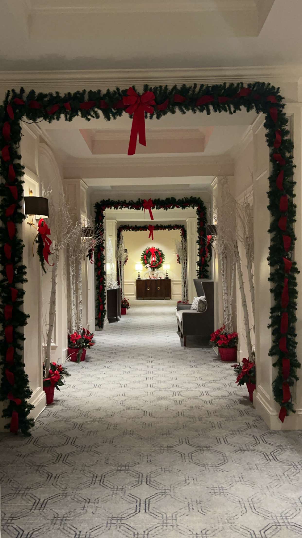 bellarenaldii snapchat image archive image