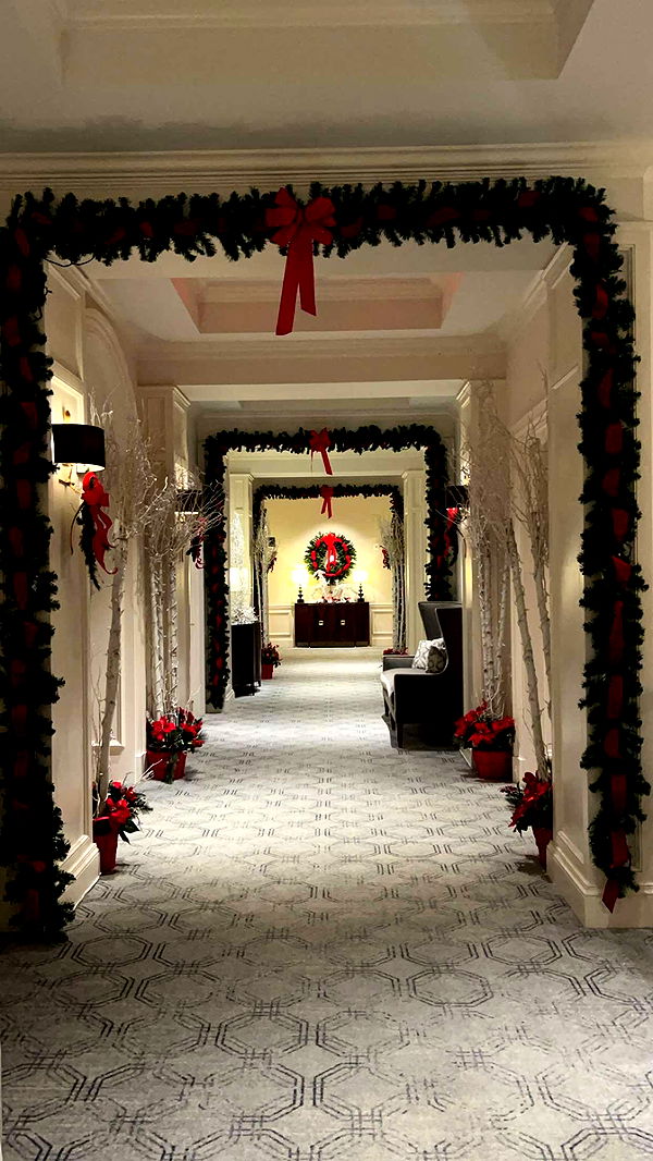 bellarenaldii image ~ Altpins