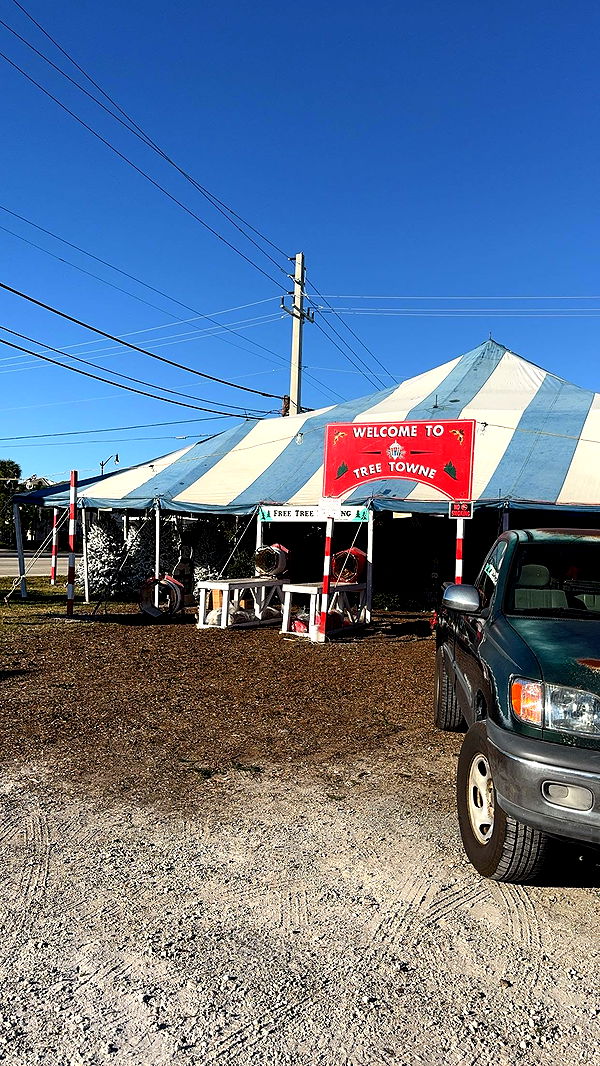 bellarenaldii image ~ Altpins