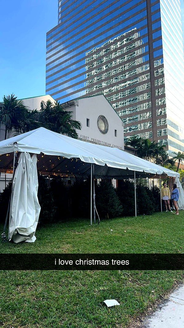 bellarenaldii image ~ Altpins