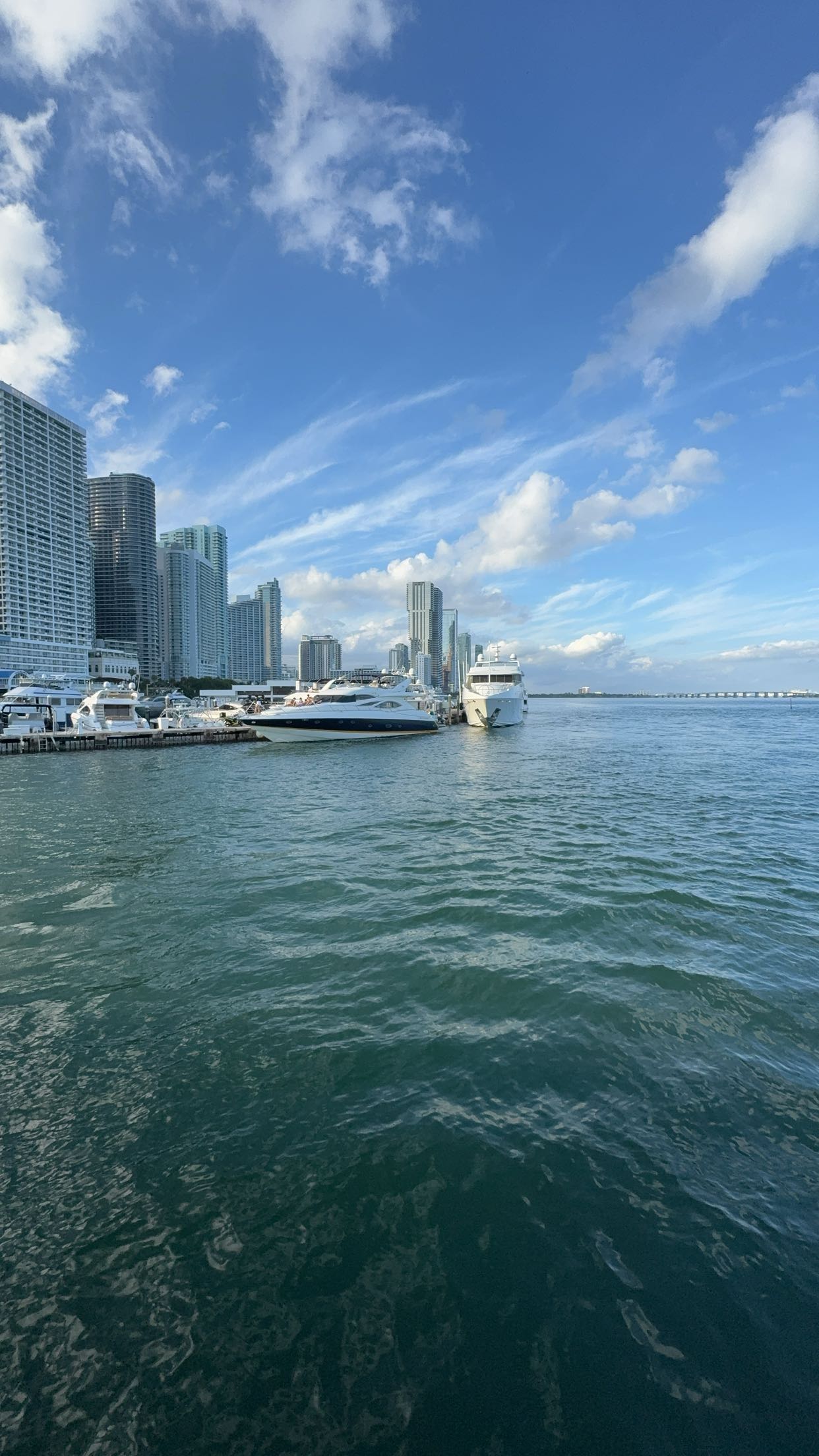 bellarenaldii snapchat image archive image