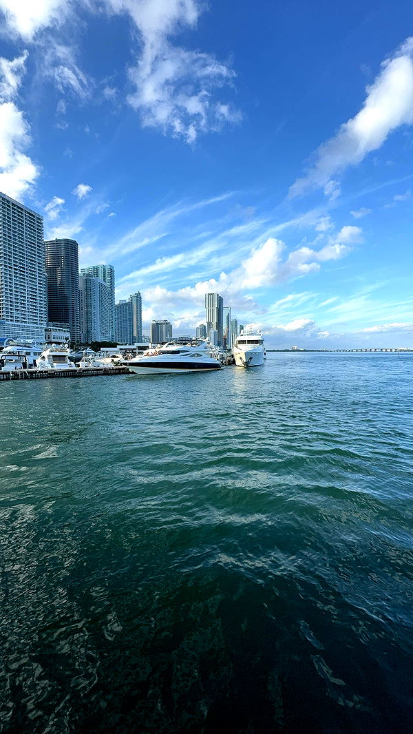 bellarenaldii image ~ Altpins