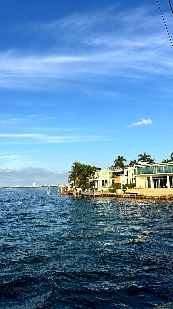 bellarenaldii image ~ Altpins