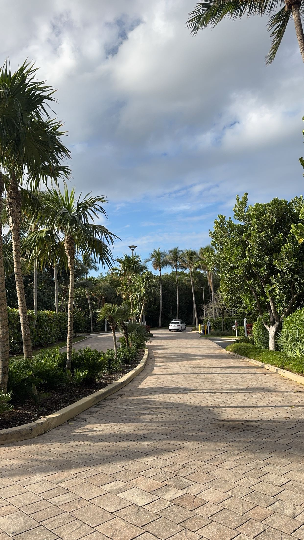 bellarenaldii snapchat image archive image