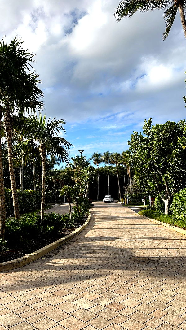 bellarenaldii image ~ Altpins