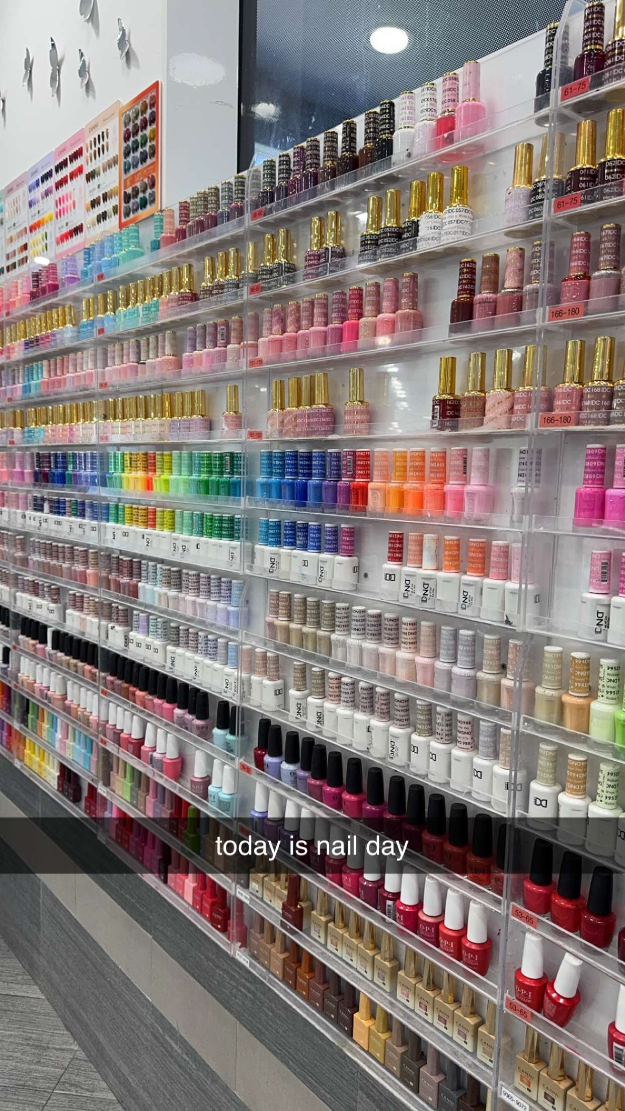 bellarenaldii snapchat image archive image