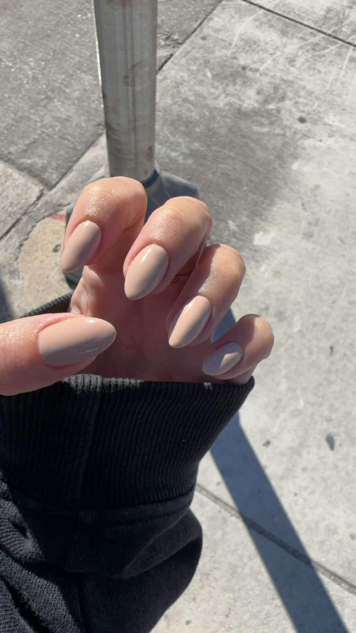 bellarenaldii snapchat image archive image