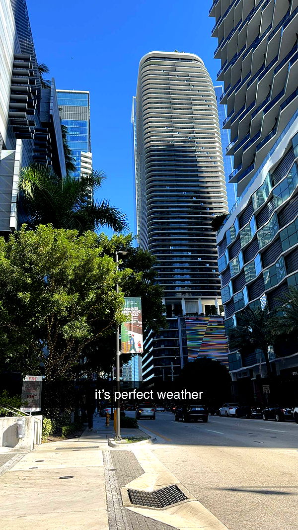 bellarenaldii image ~ Altpins