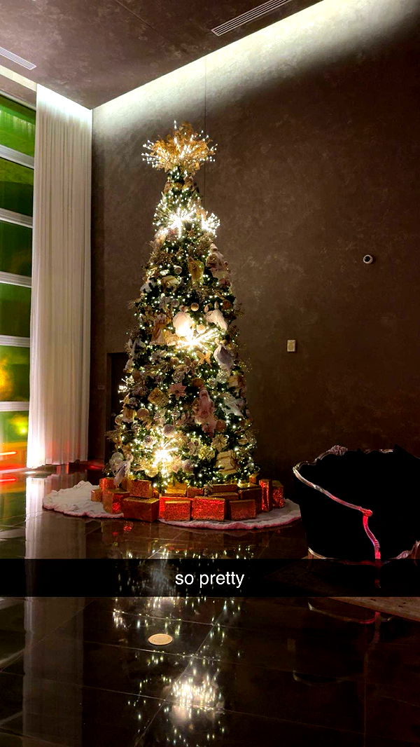 bellarenaldii image ~ Altpins