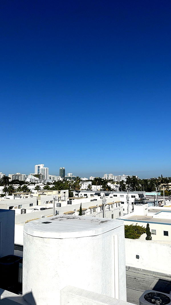 bellarenaldii image ~ Altpins