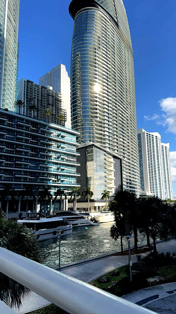 bellarenaldii image ~ Altpins