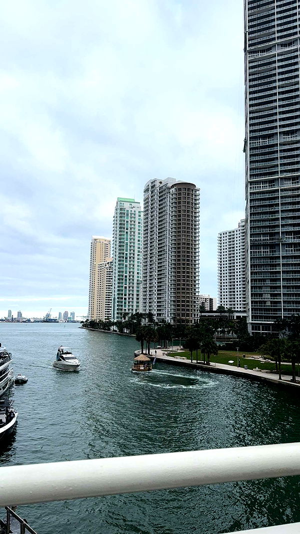 bellarenaldii image ~ Altpins