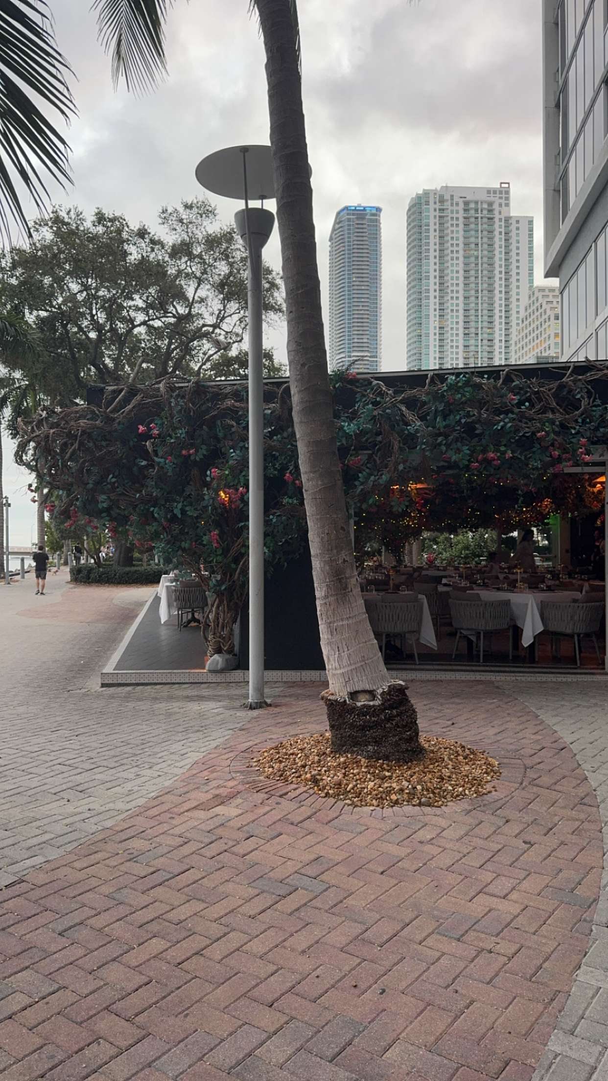 bellarenaldii snapchat image archive image