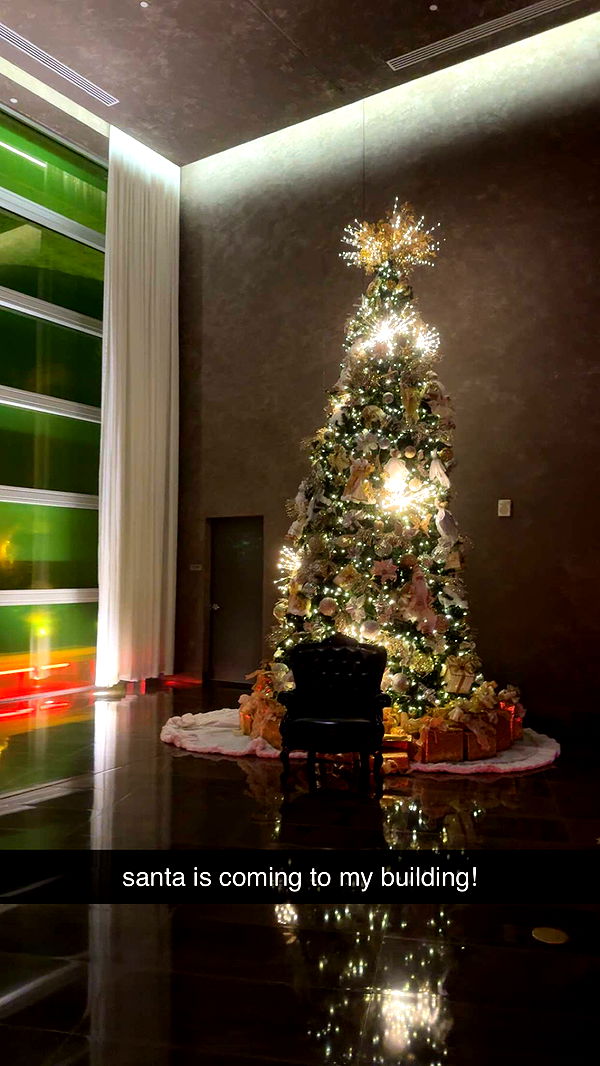 bellarenaldii image ~ Altpins