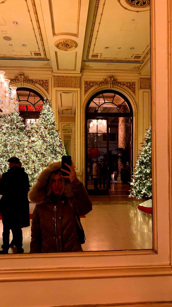 bellarenaldii image ~ Altpins