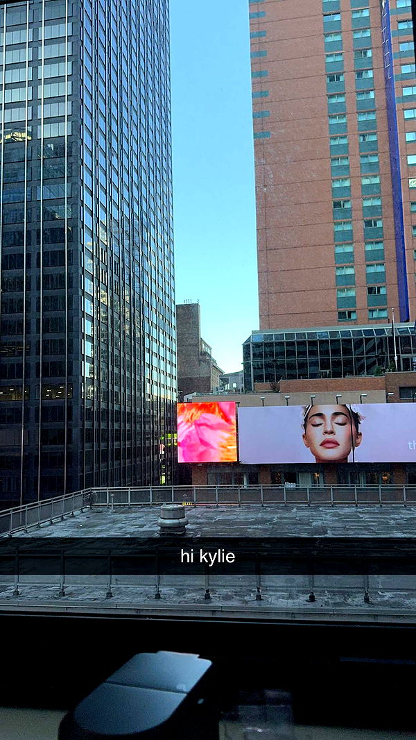 bellarenaldii image ~ Altpins