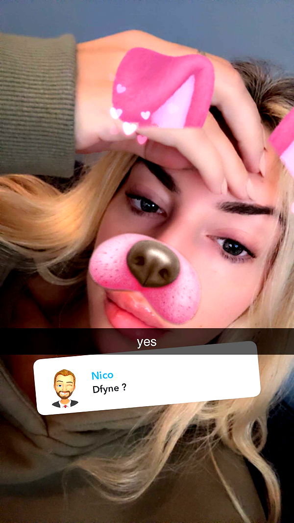 bellarenaldii image ~ Altpins