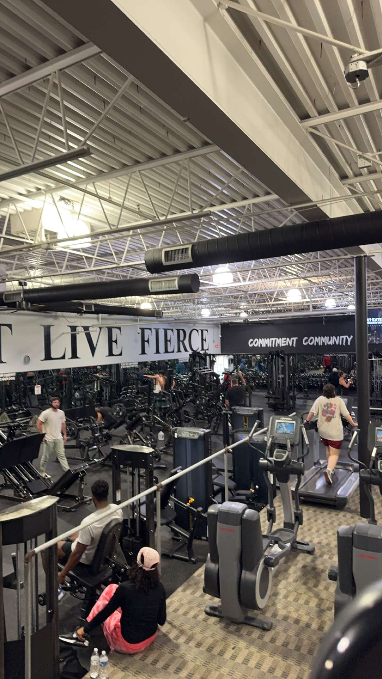 bellarenaldii snapchat image archive image