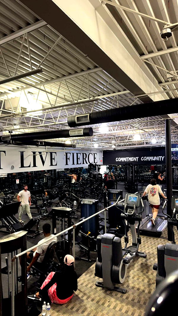 bellarenaldii image ~ Altpins