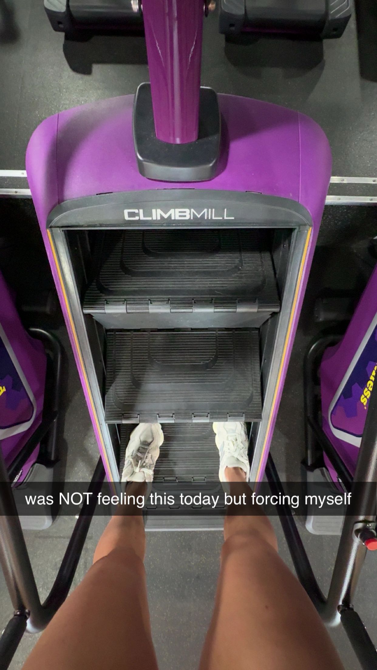 bellarenaldii snapchat image archive image