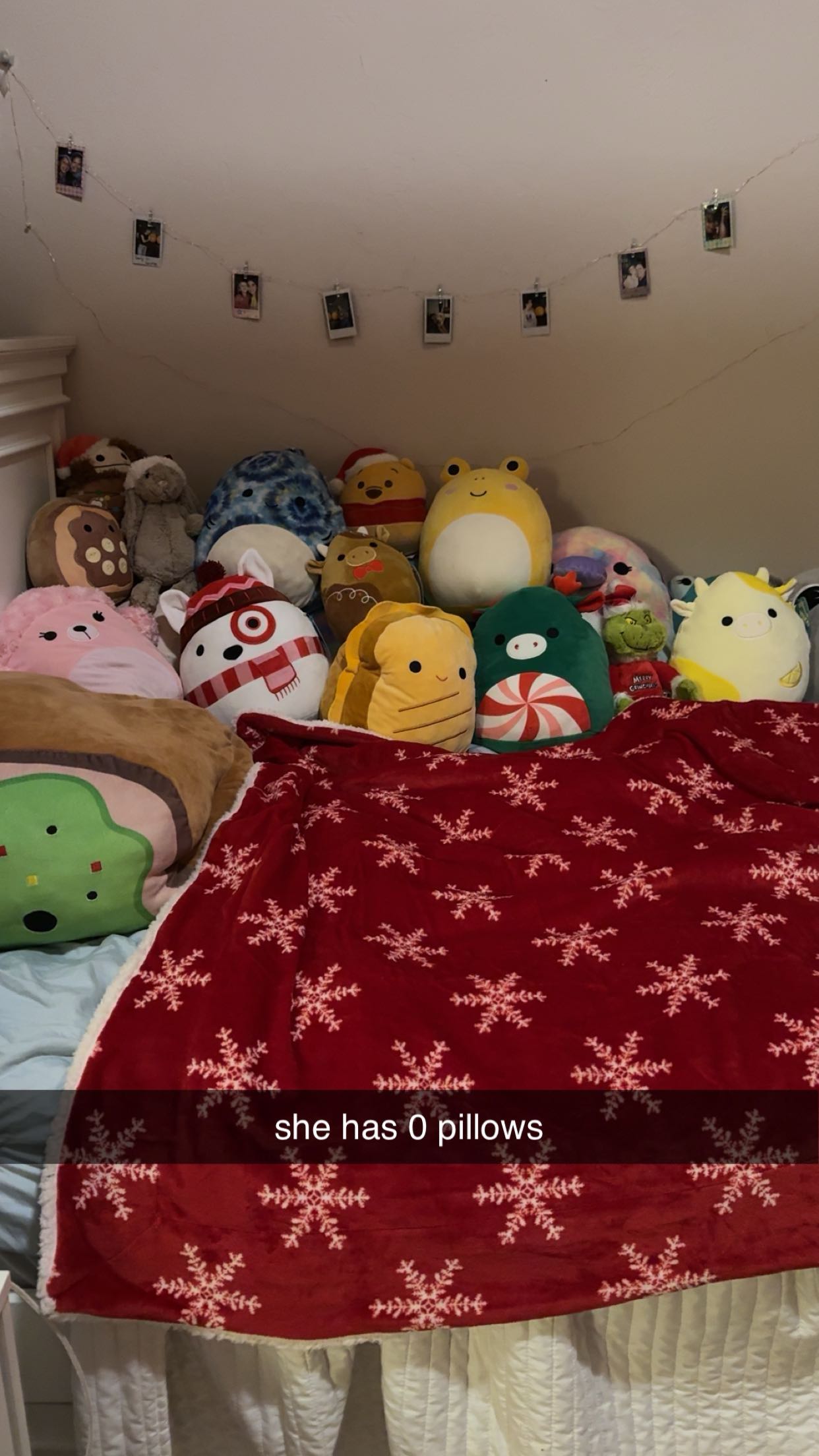 bellarenaldii snapchat image archive image