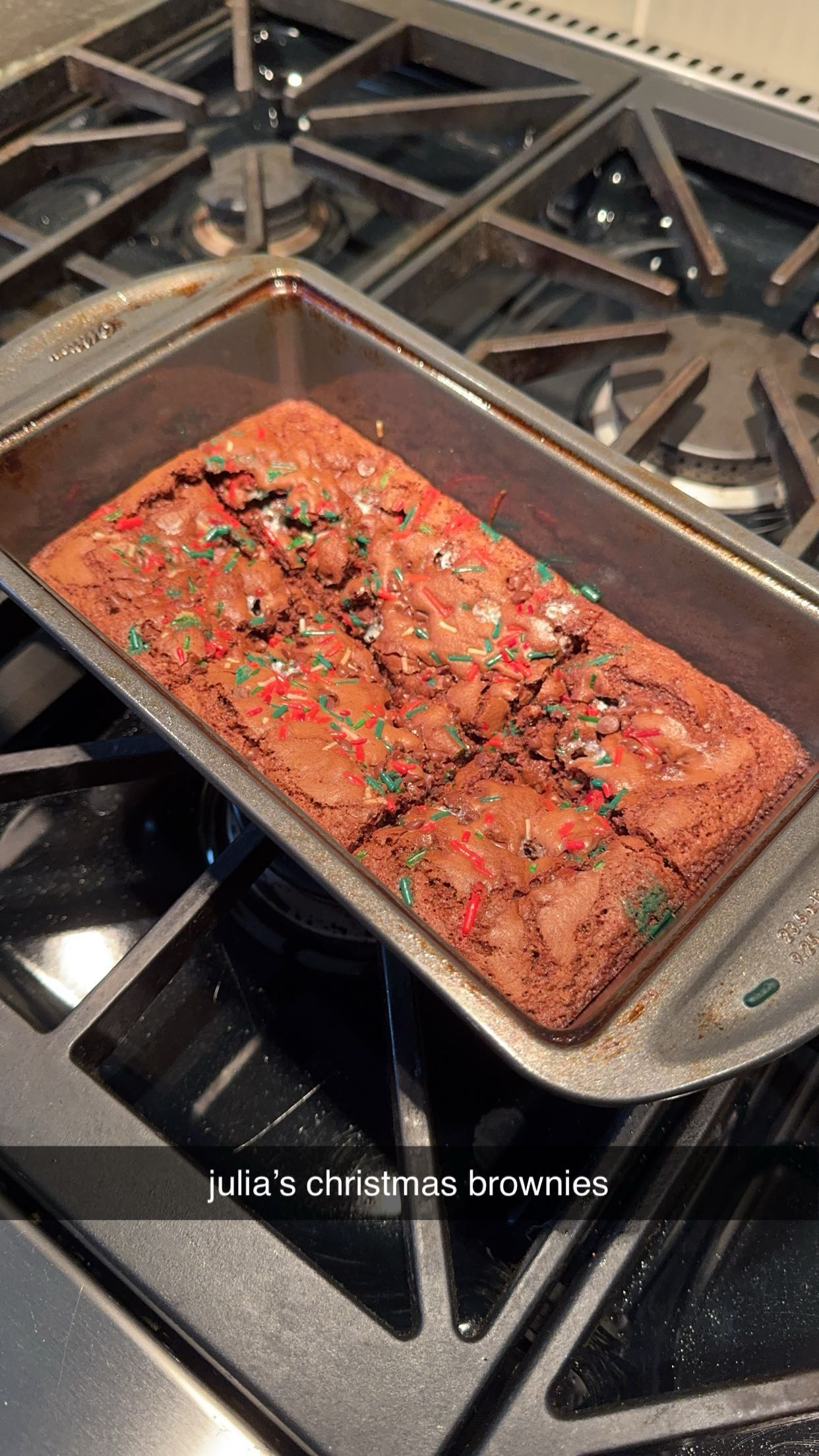 bellarenaldii snapchat image archive image