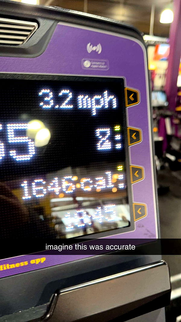 bellarenaldii image ~ Altpins