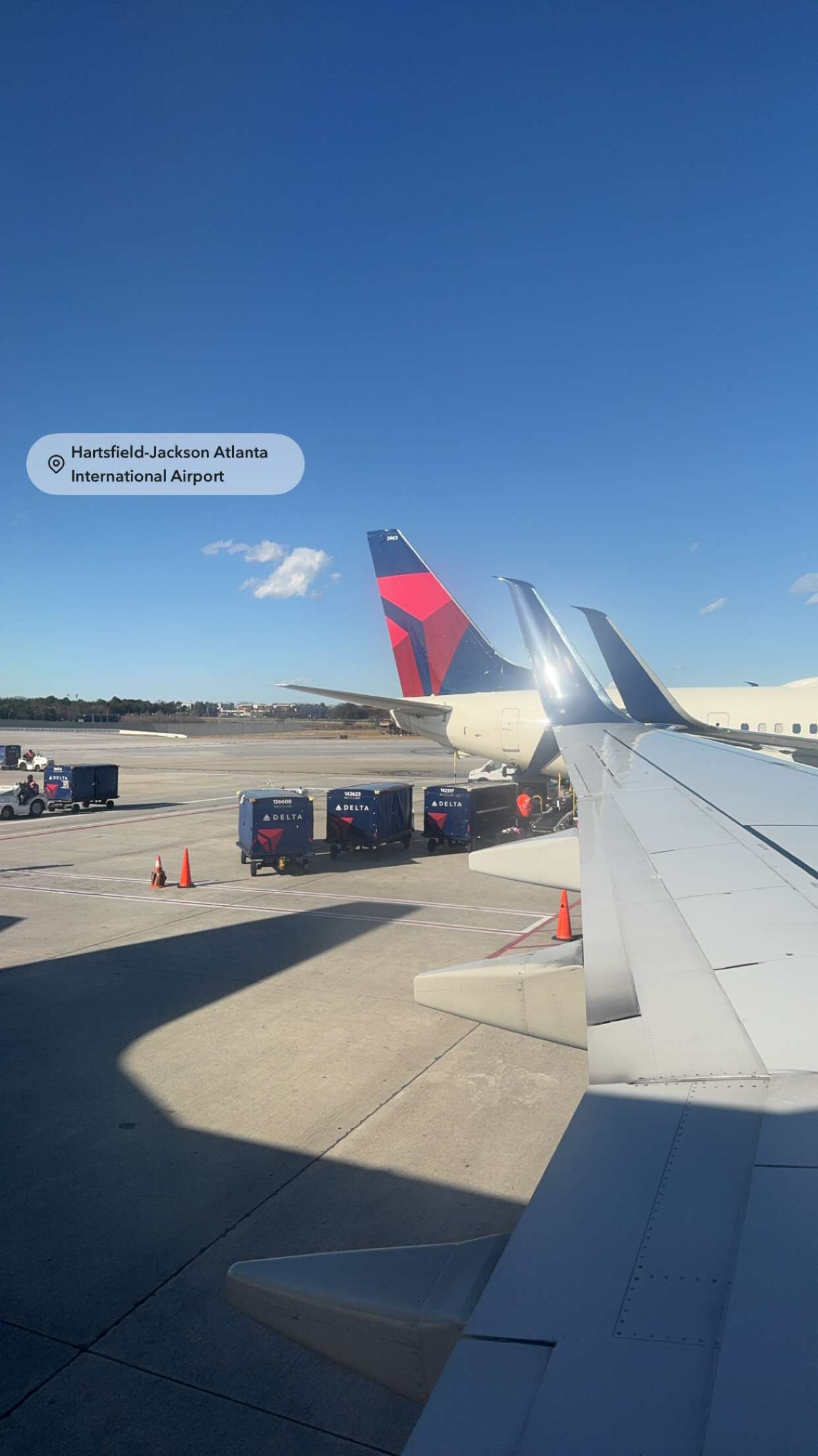 bellarenaldii snapchat image archive image