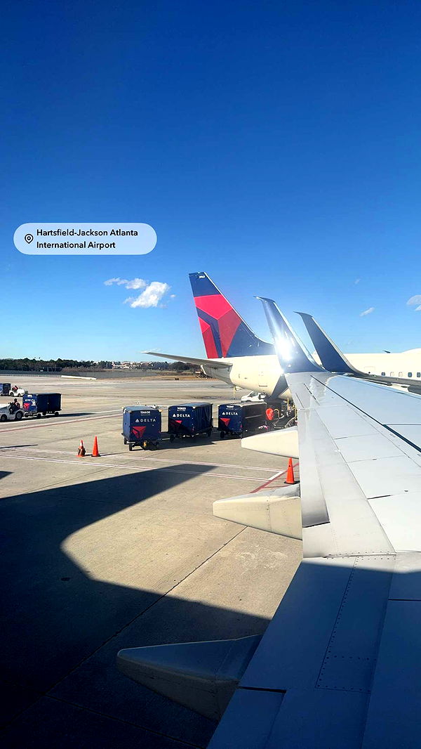 bellarenaldii image ~ Altpins