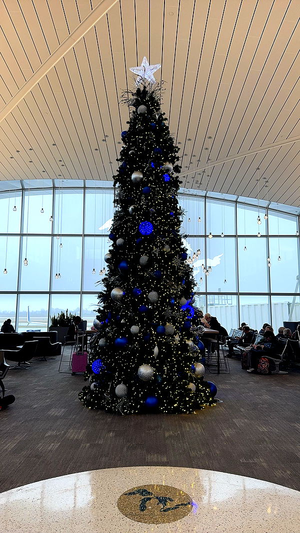 bellarenaldii image ~ Altpins