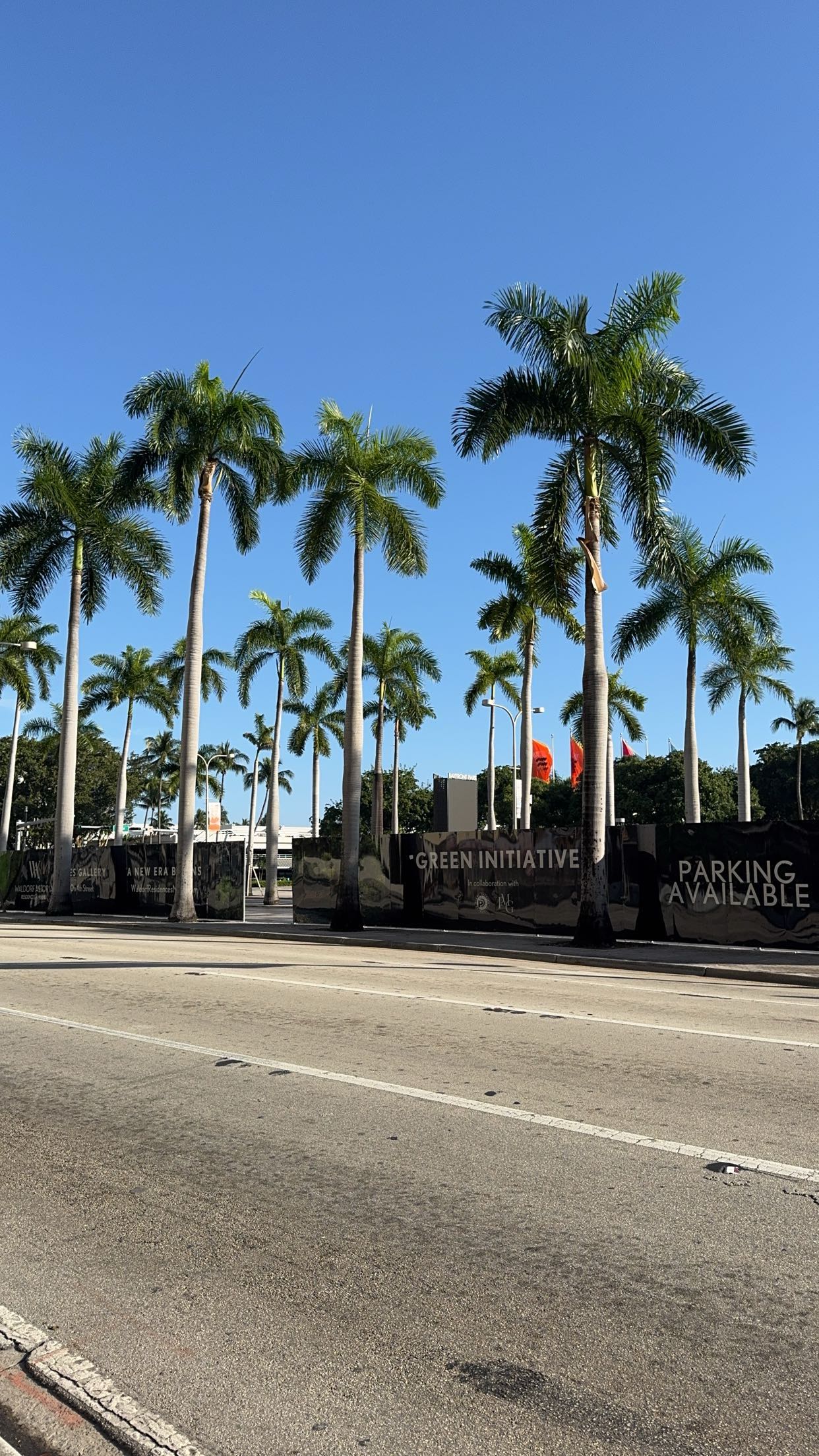 bellarenaldii snapchat image archive image