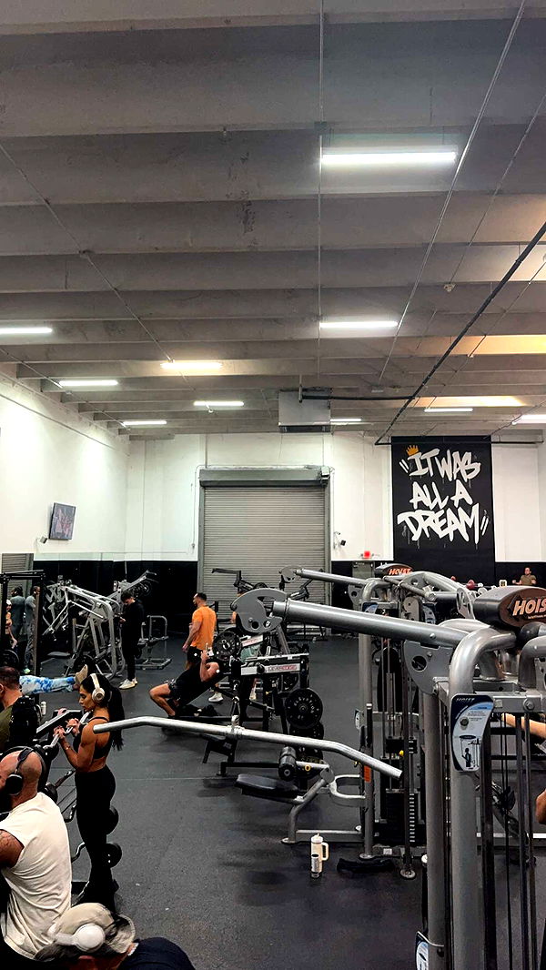 bellarenaldii image ~ Altpins