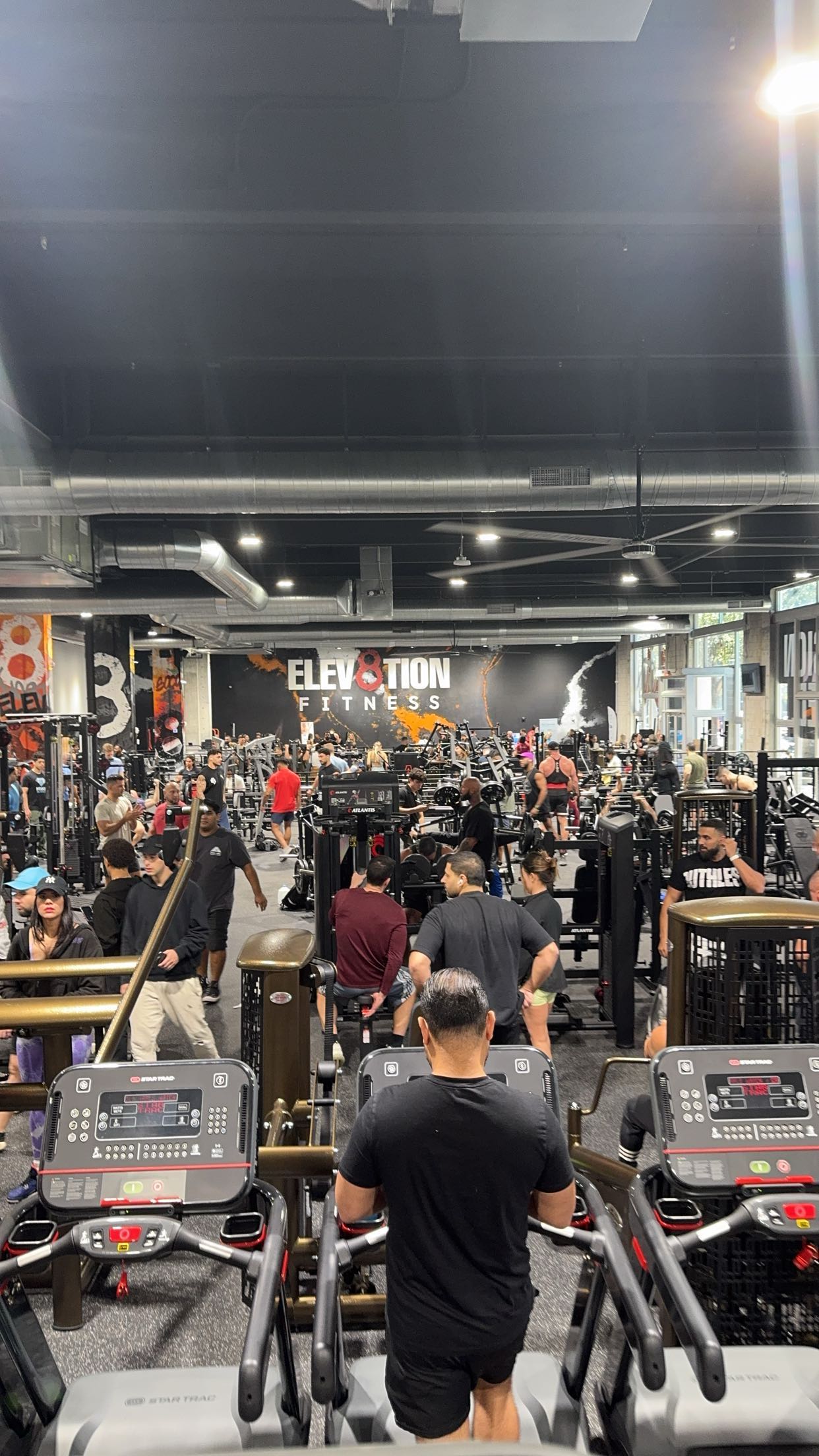 bellarenaldii snapchat image archive image