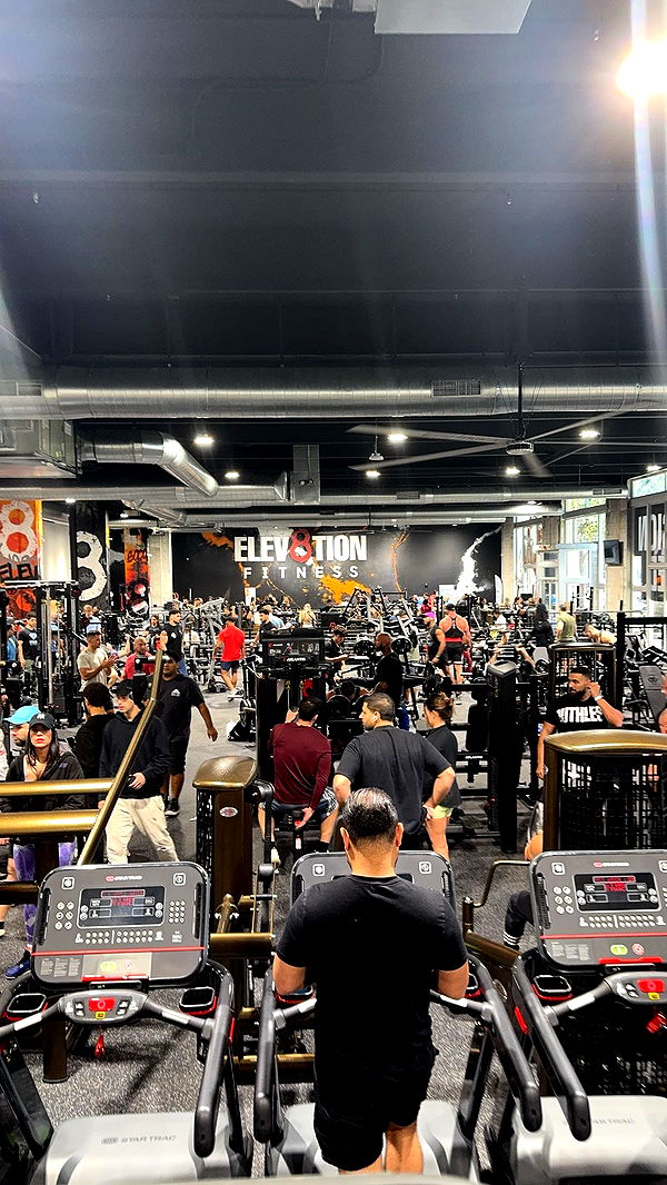 bellarenaldii image ~ Altpins