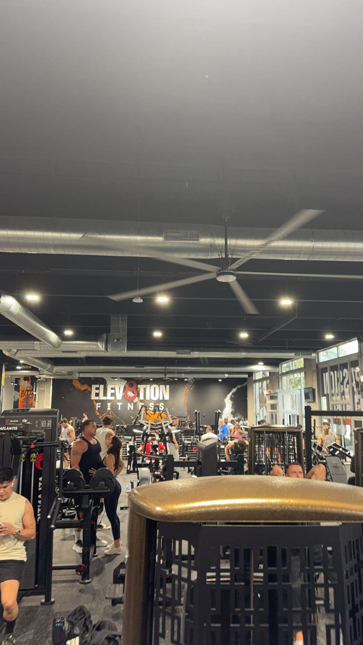 bellarenaldii snapchat image archive image