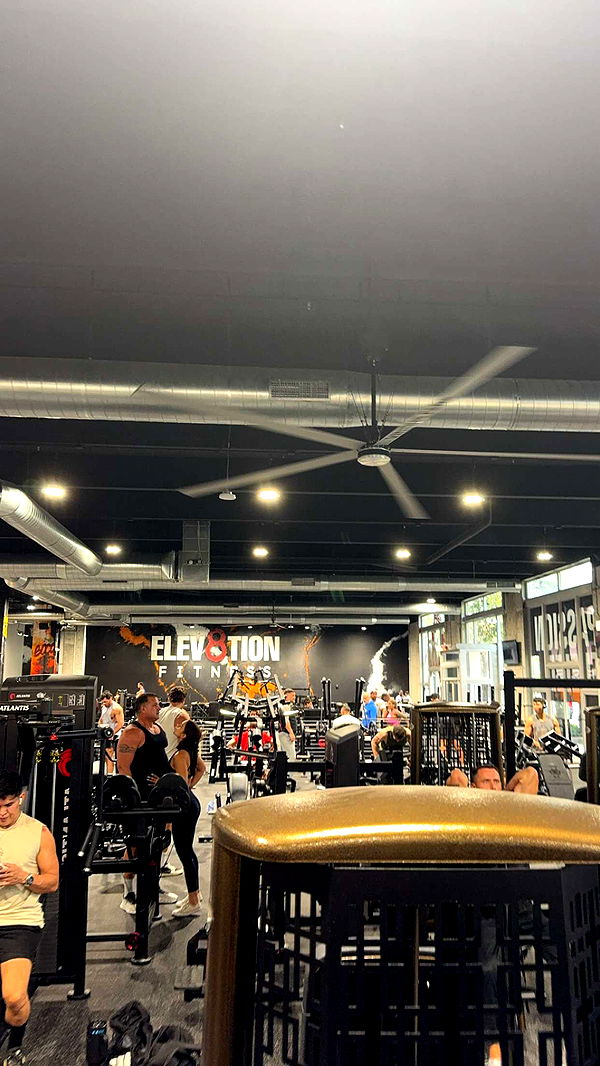 bellarenaldii image ~ Altpins