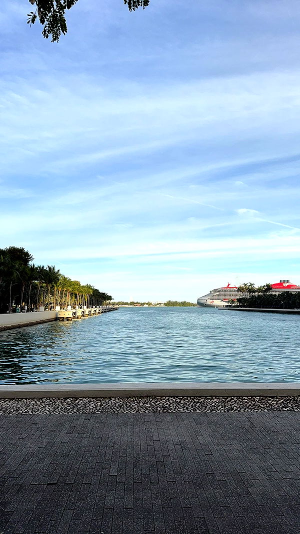 bellarenaldii image ~ Altpins