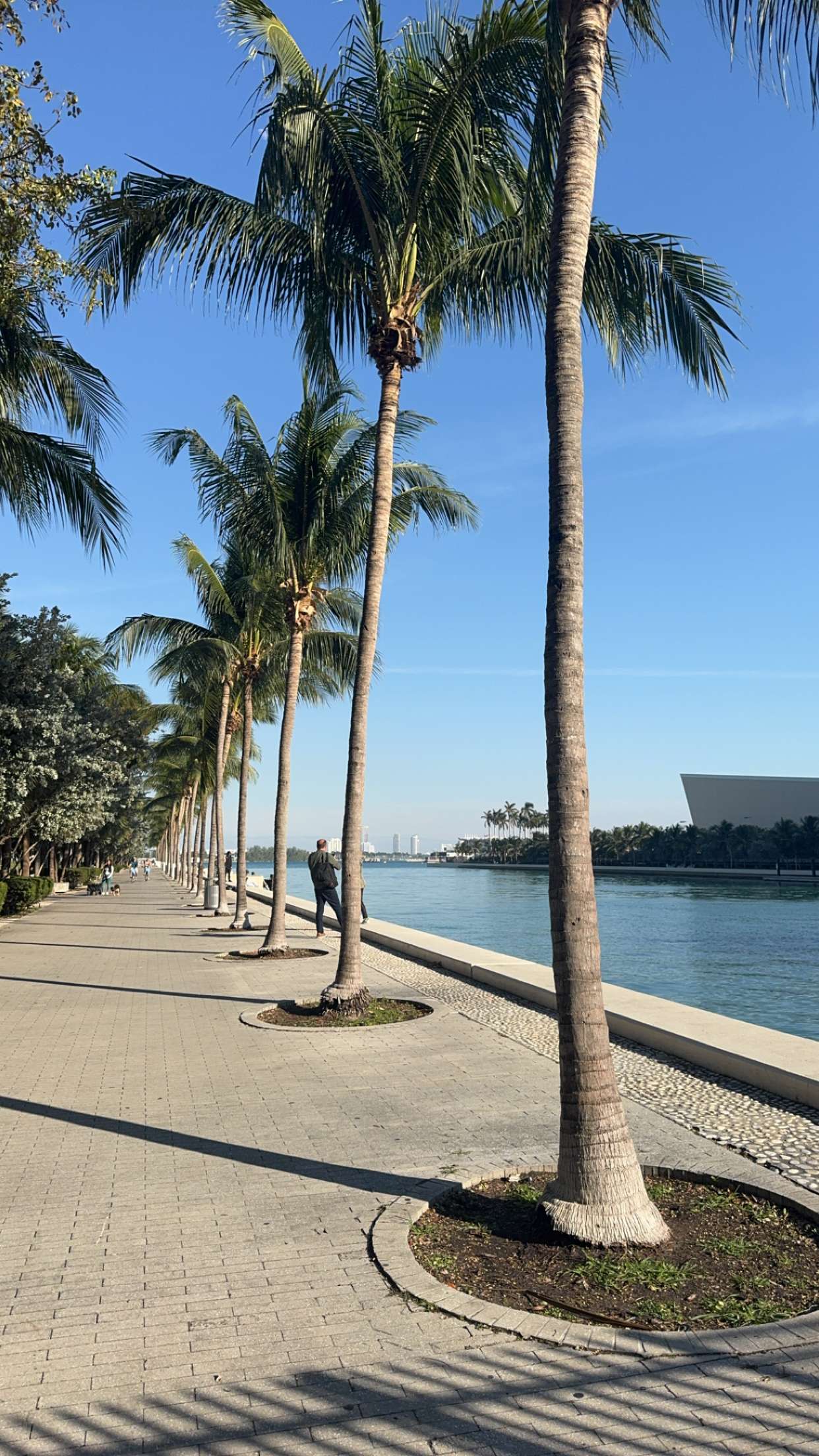 bellarenaldii snapchat image archive image